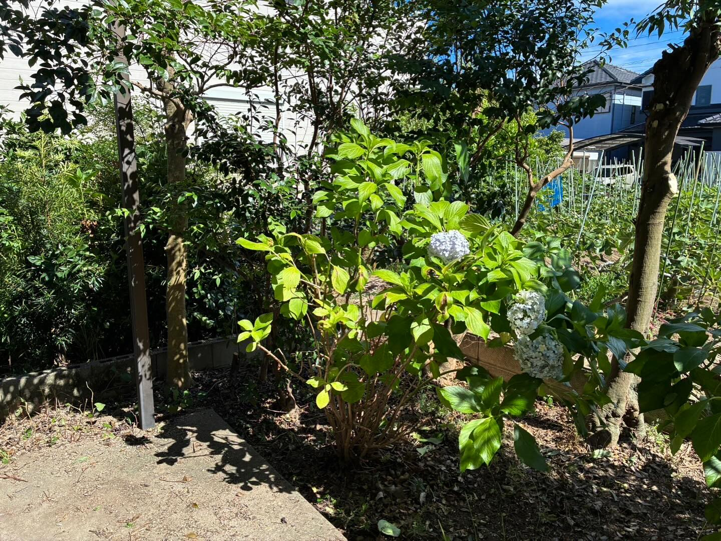 7月お灸交流会ご参加ありがとうございました✨