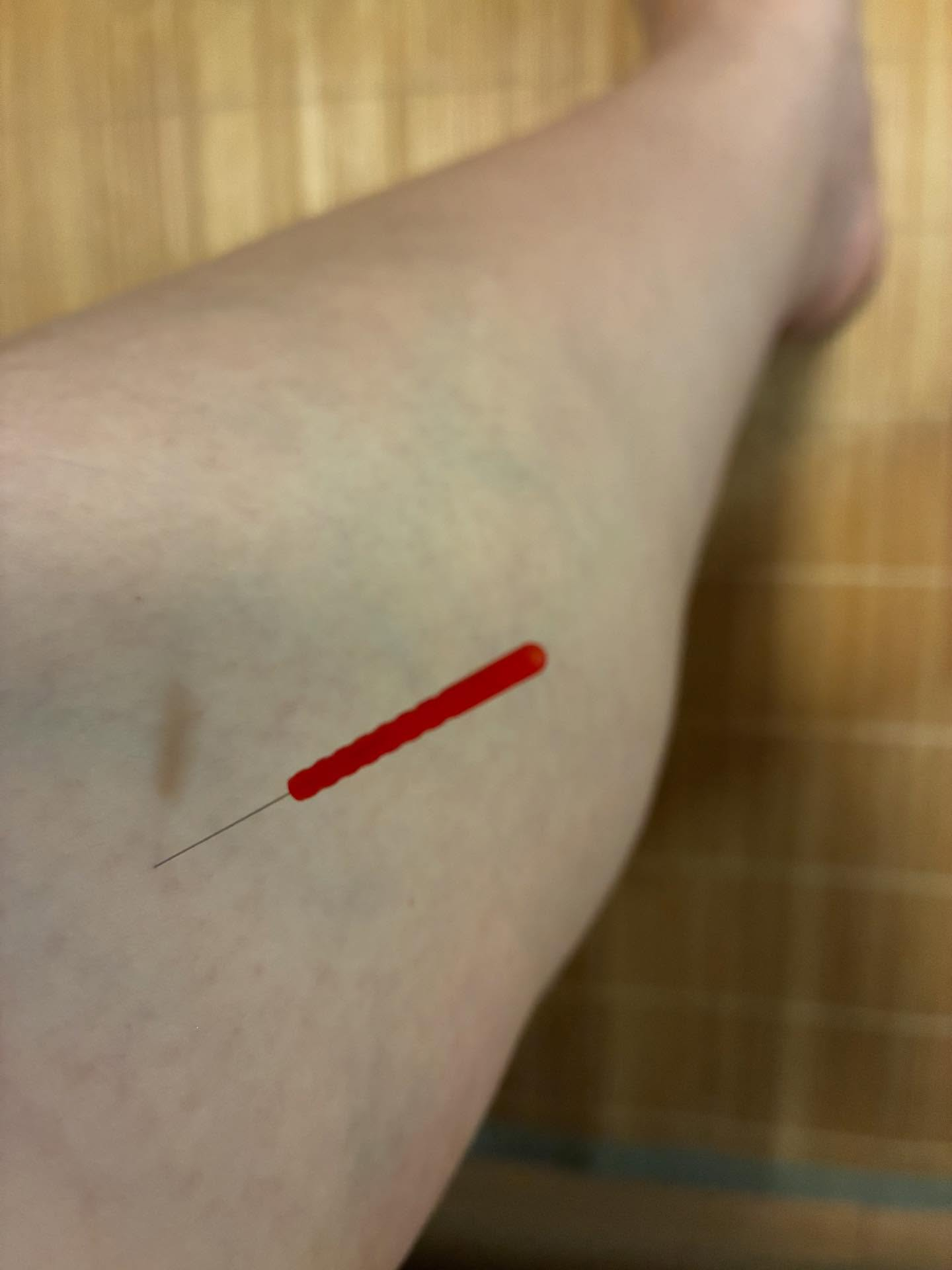 世界陸上や世界バレーを見て、