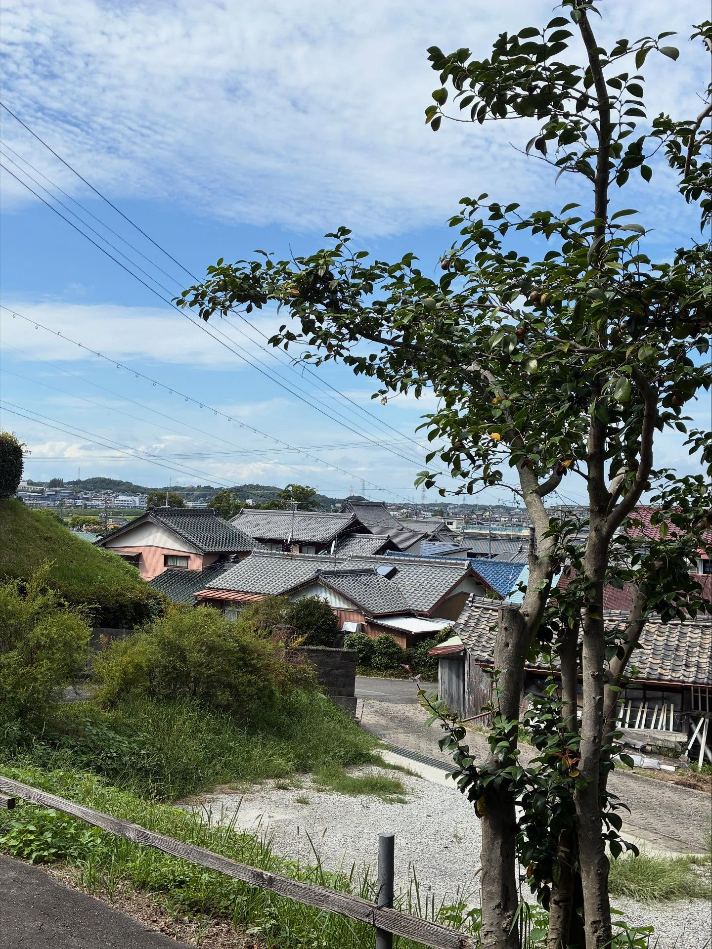 谷性寺TOMOBIKI SUNDAY vol.28