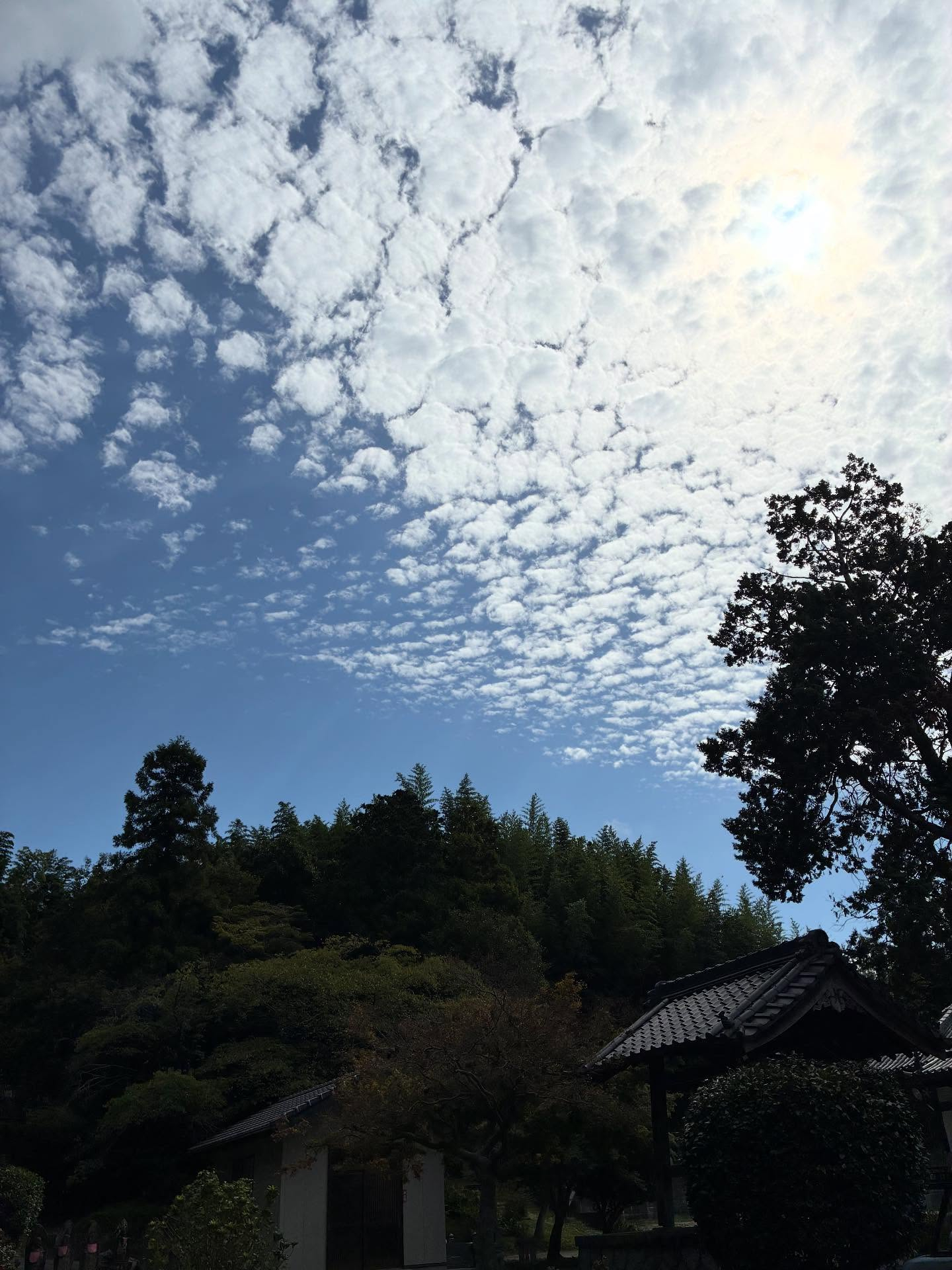 谷性寺TOMOBIKI SUNDAY vol.28