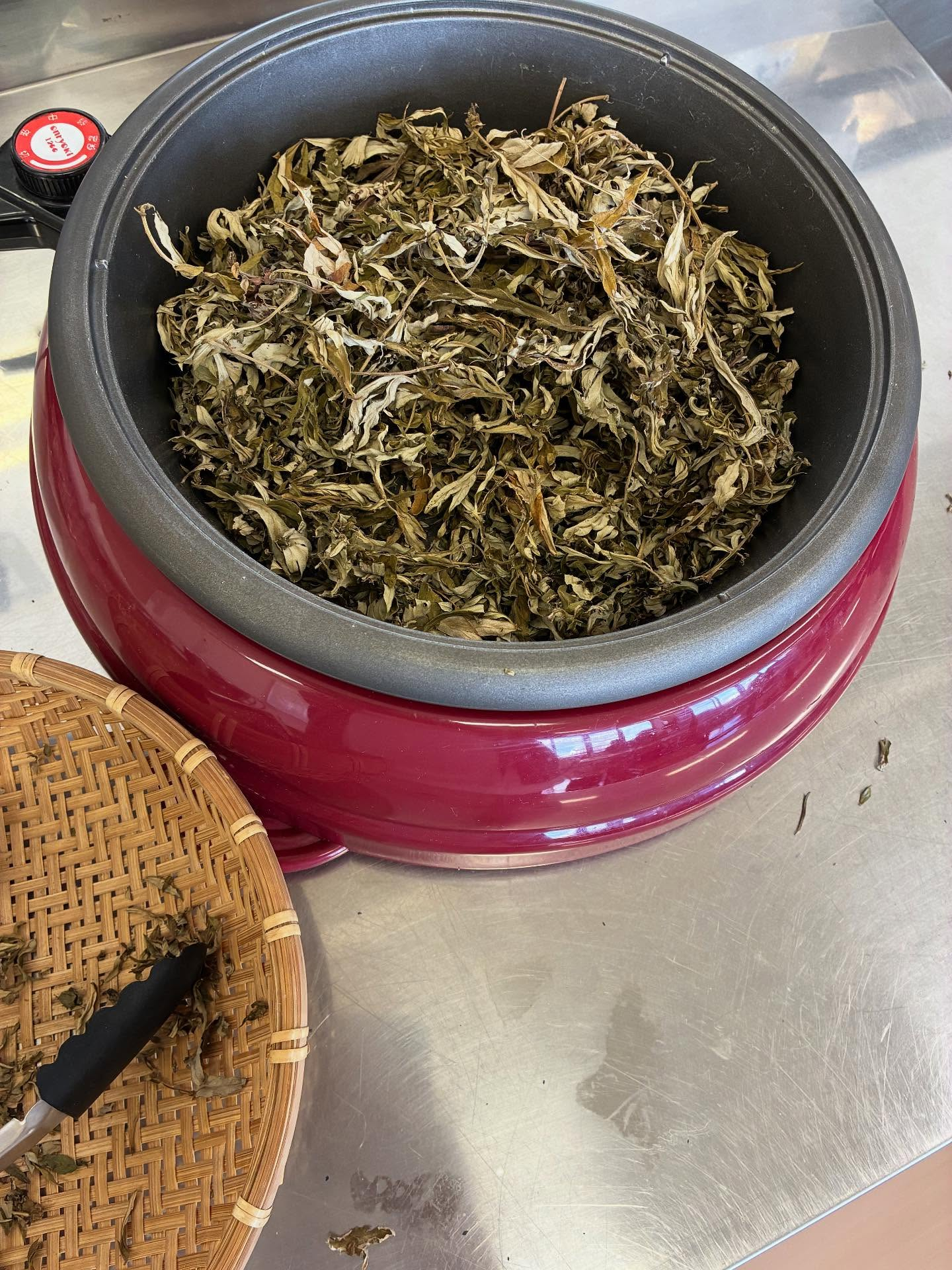 安城市二本木公民館講座『お灸生活のすすめ』全2回が無事に終了...