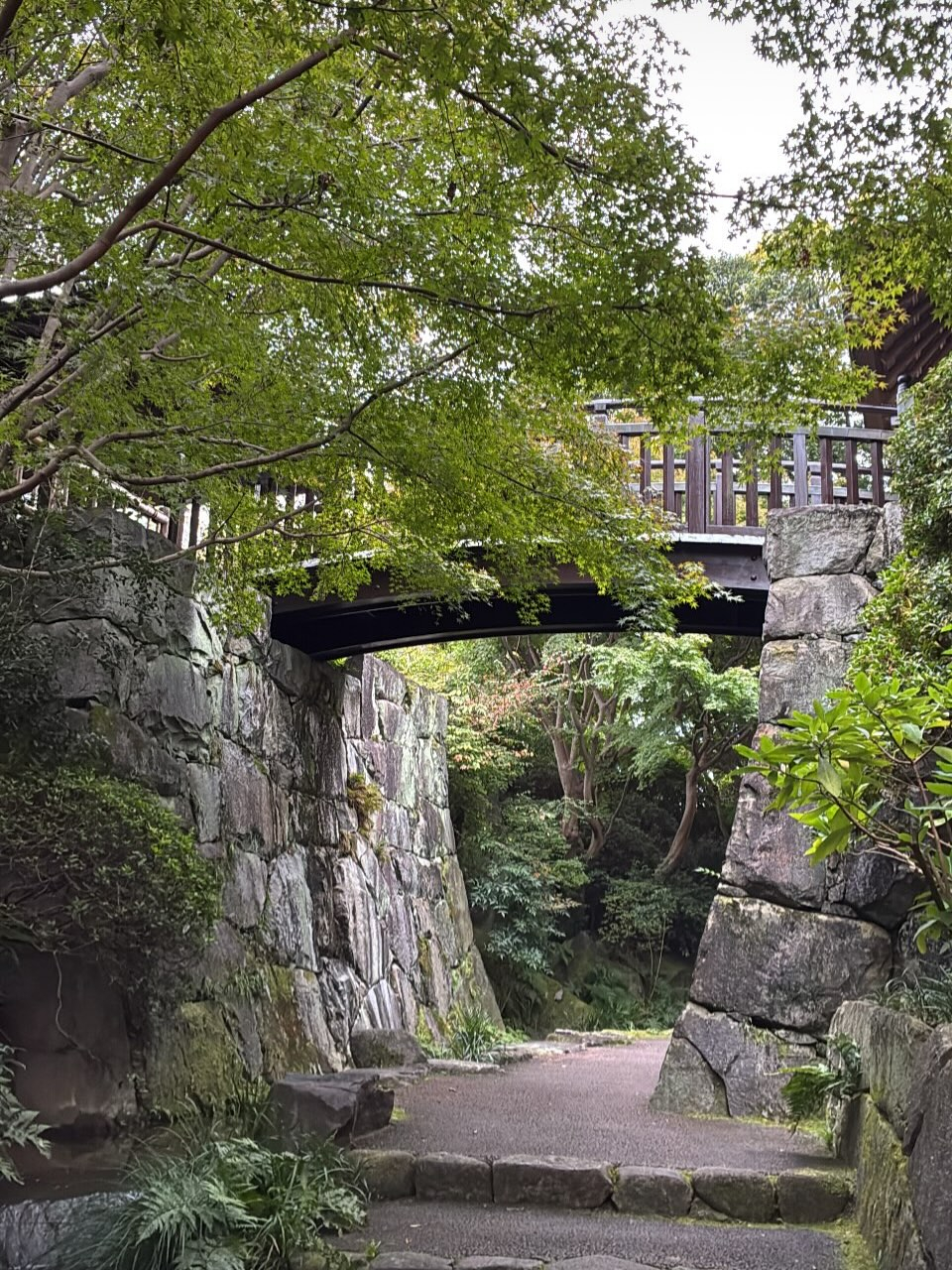 11月、夕暮れが早くなりました。