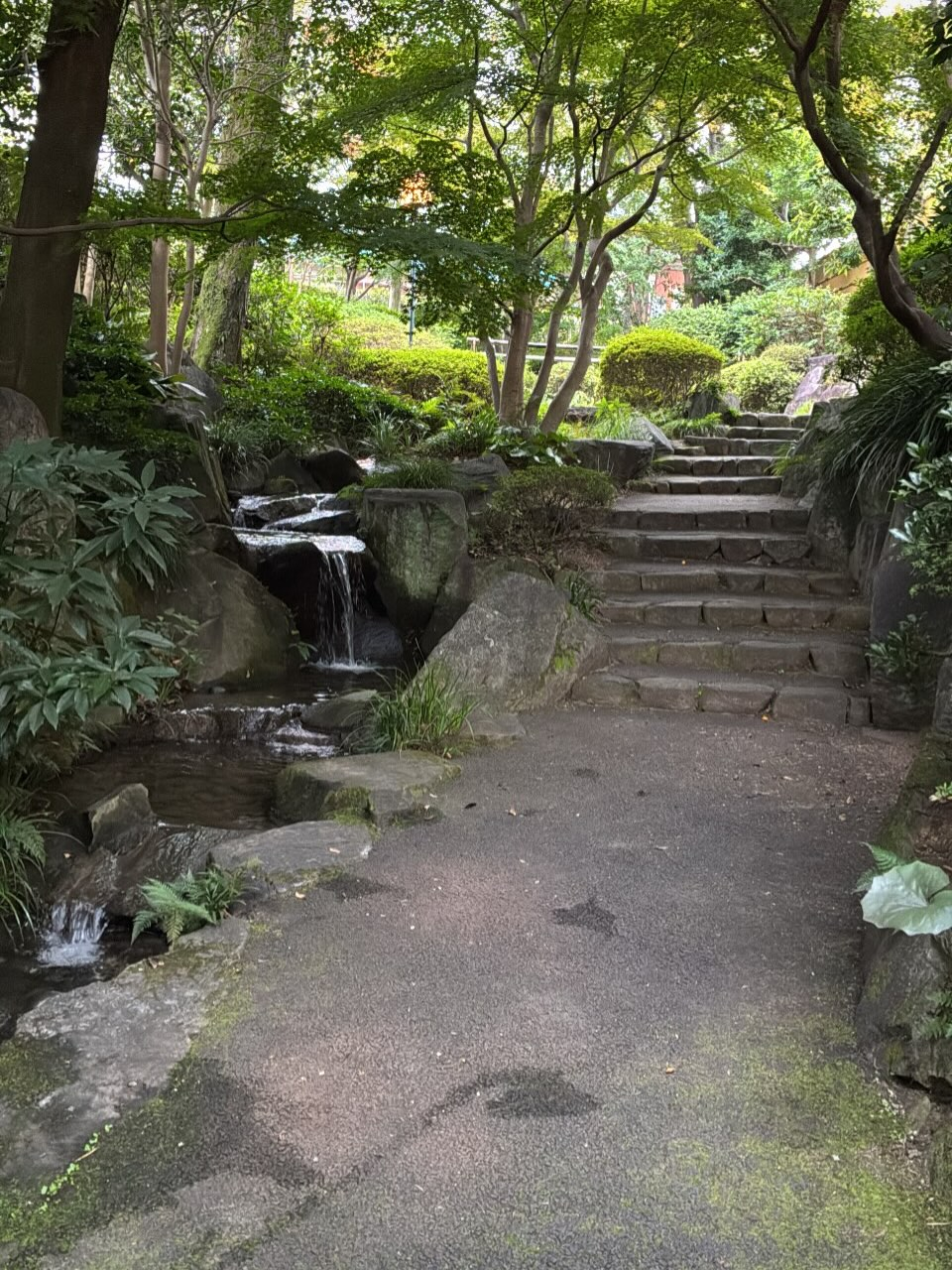 11月、夕暮れが早くなりました。