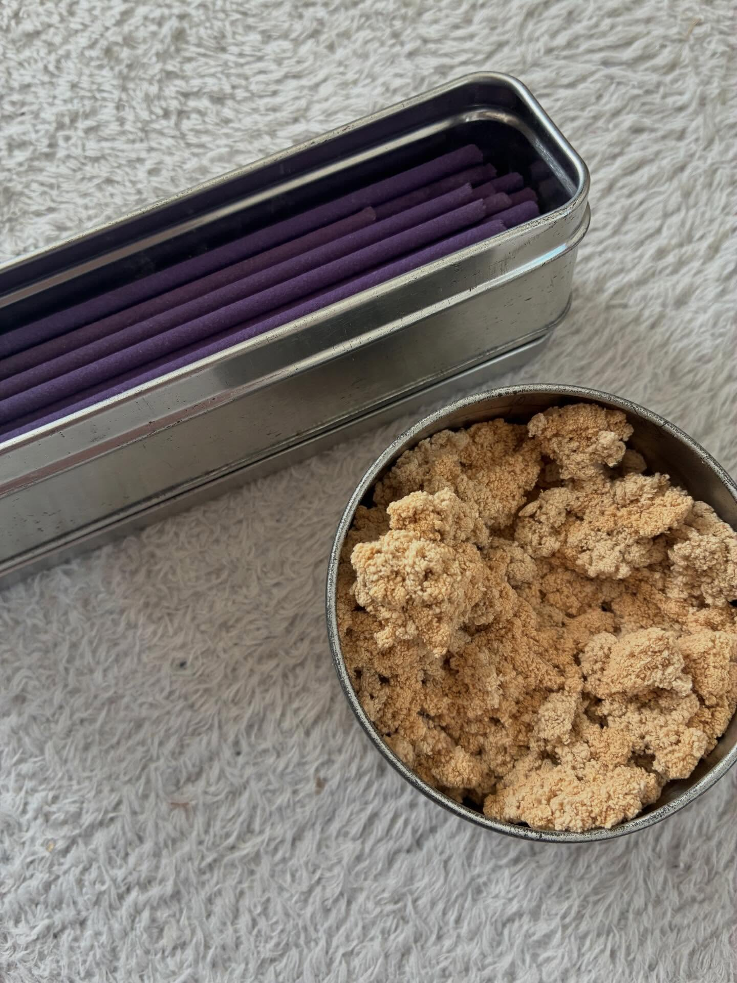 🌿 2月最終週のお知らせ