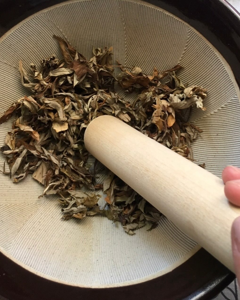 【手作りモグサでお灸を】